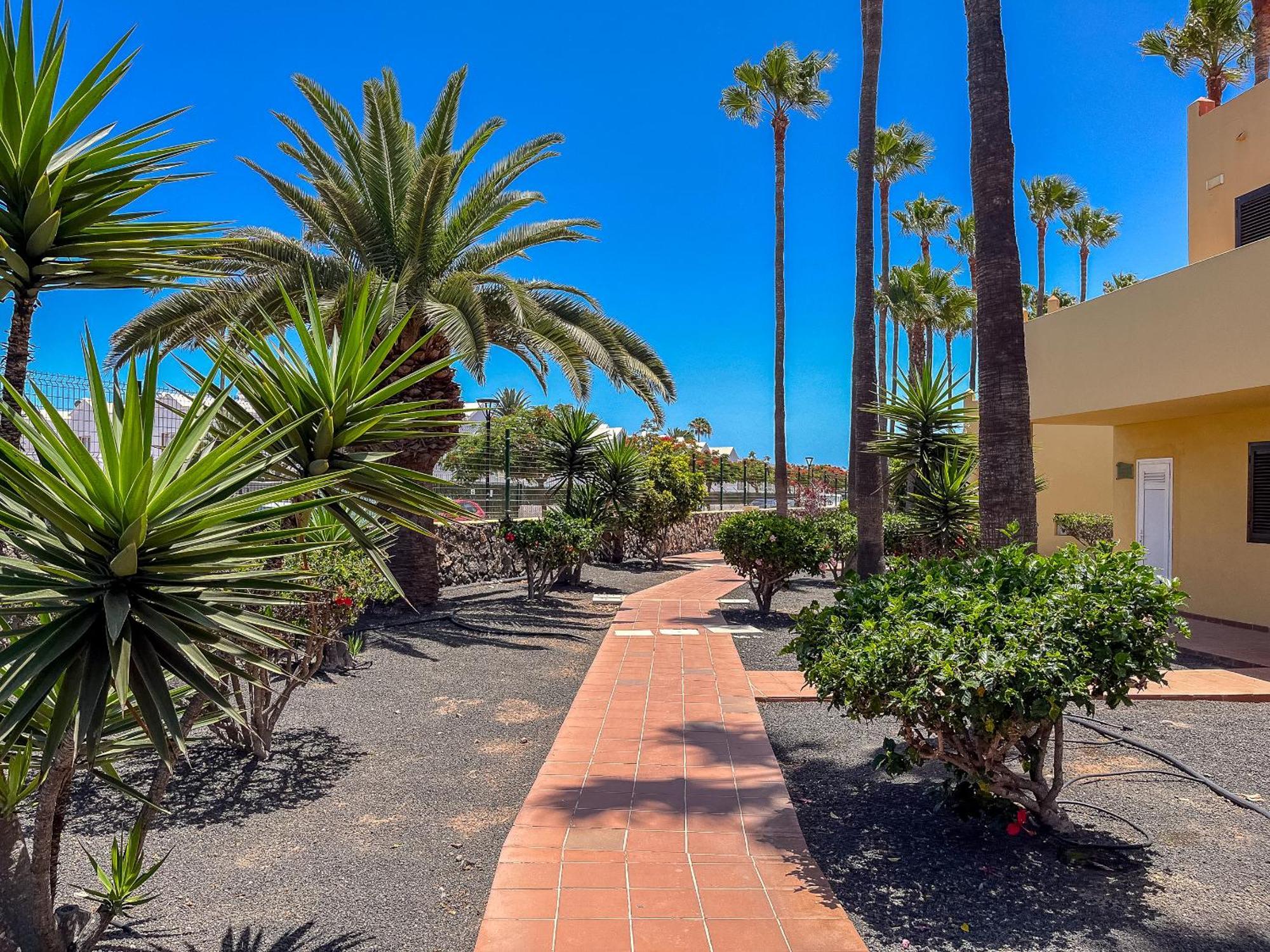 Apartamentos Oasis Royal Corralejo F314 Kültér fotó