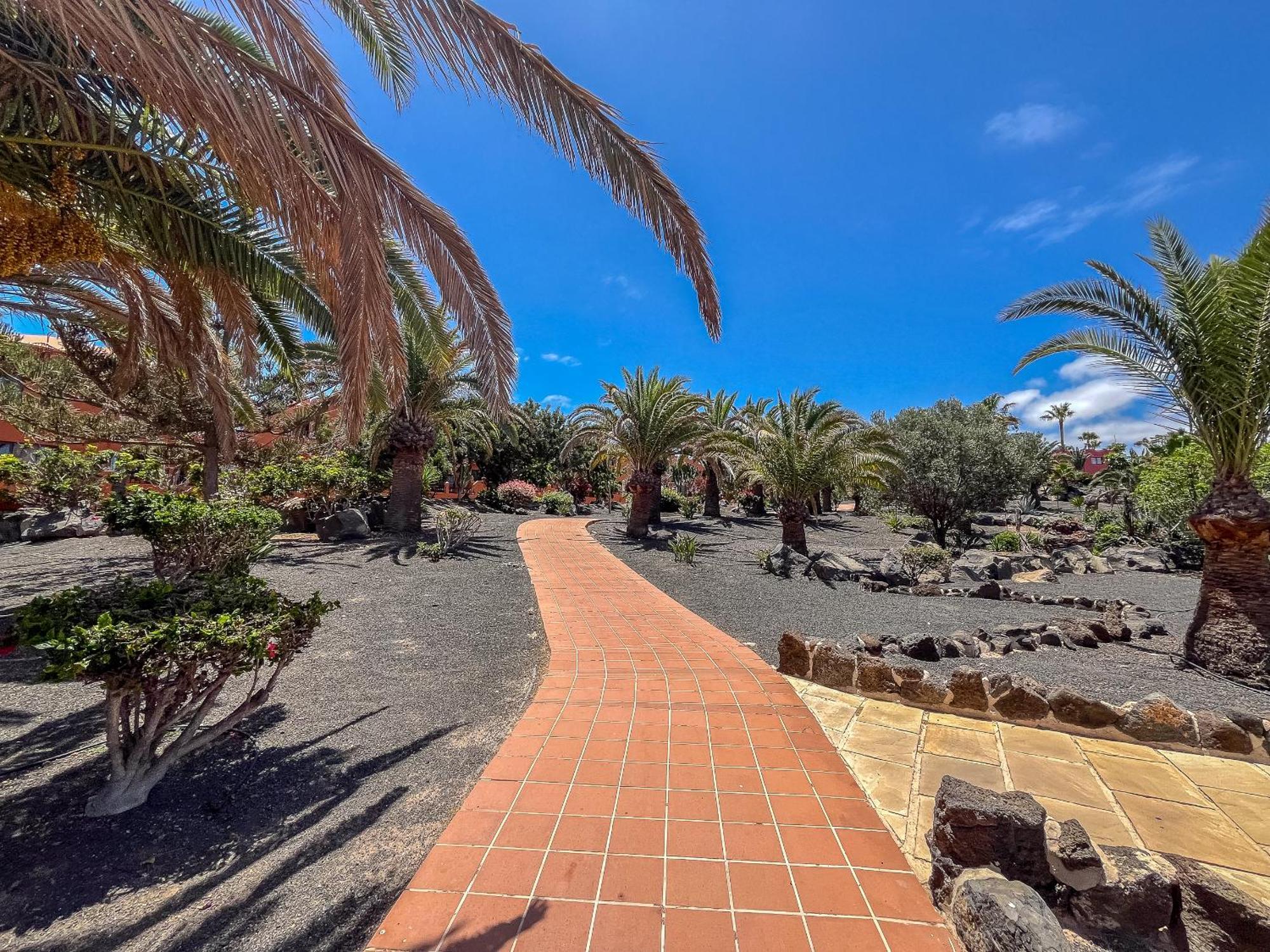 Apartamentos Oasis Royal Corralejo F314 Kültér fotó
