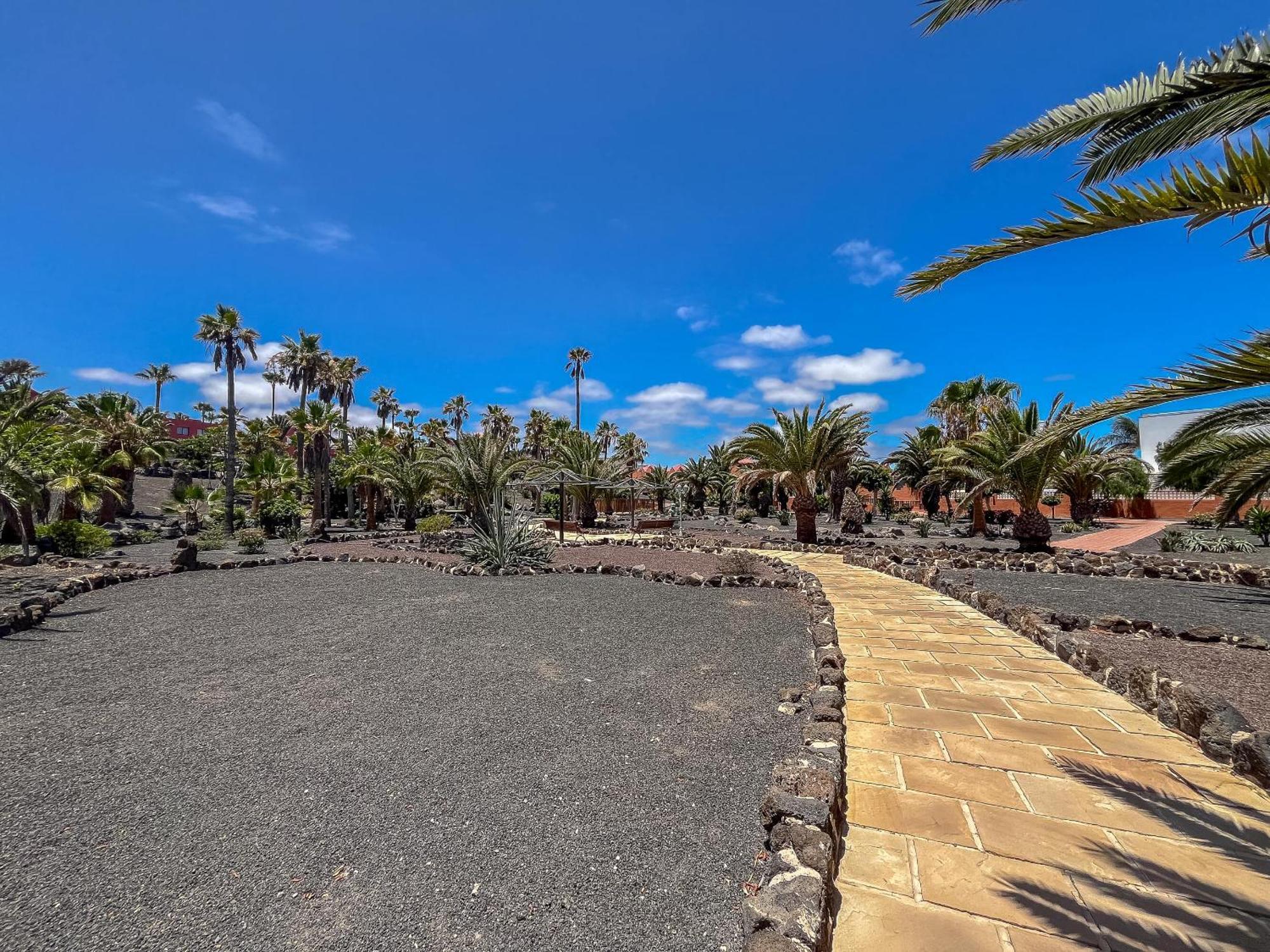 Apartamentos Oasis Royal Corralejo F314 Kültér fotó